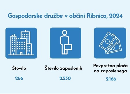 Gospodarske družbe v občini Ribnica 2024